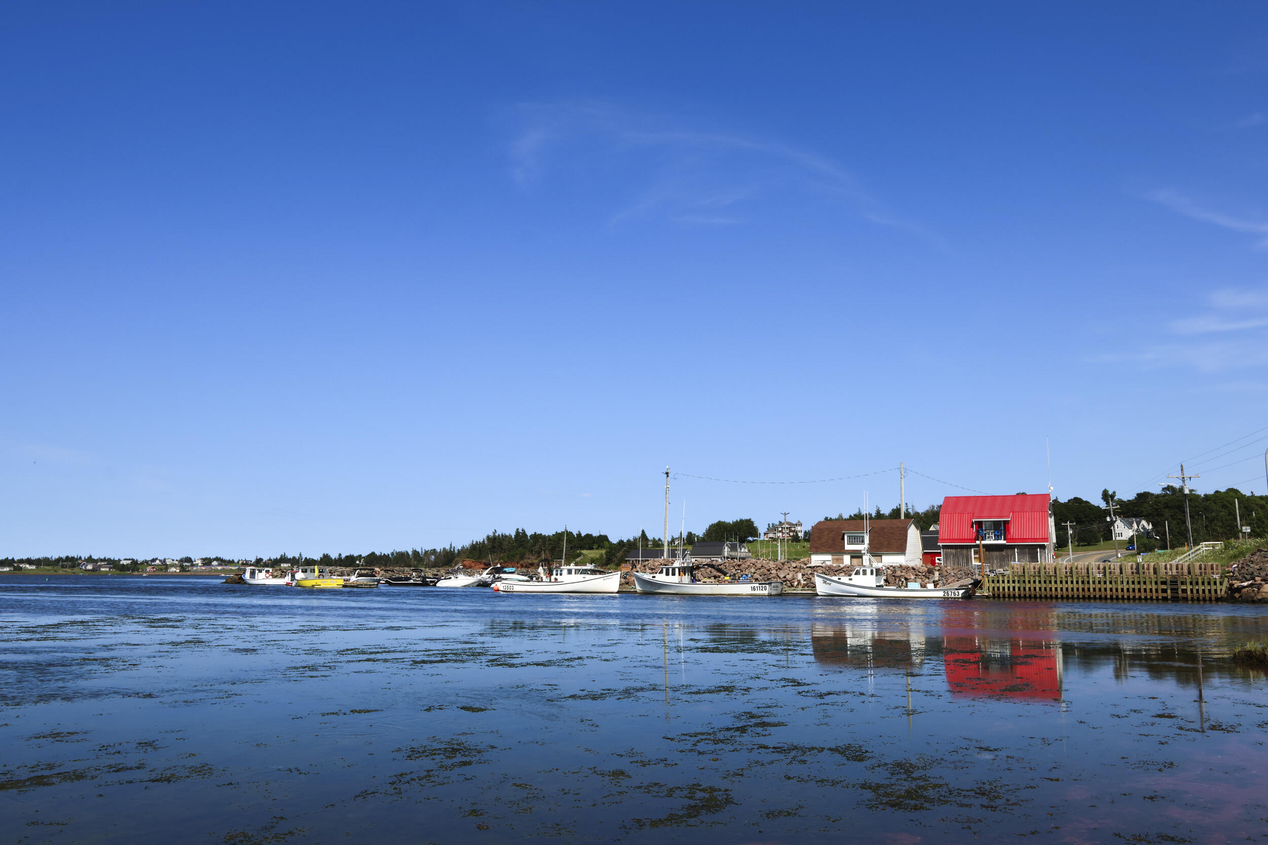 Packing Light on Prince Edward Island | SHOOTING WITH Sigma ...