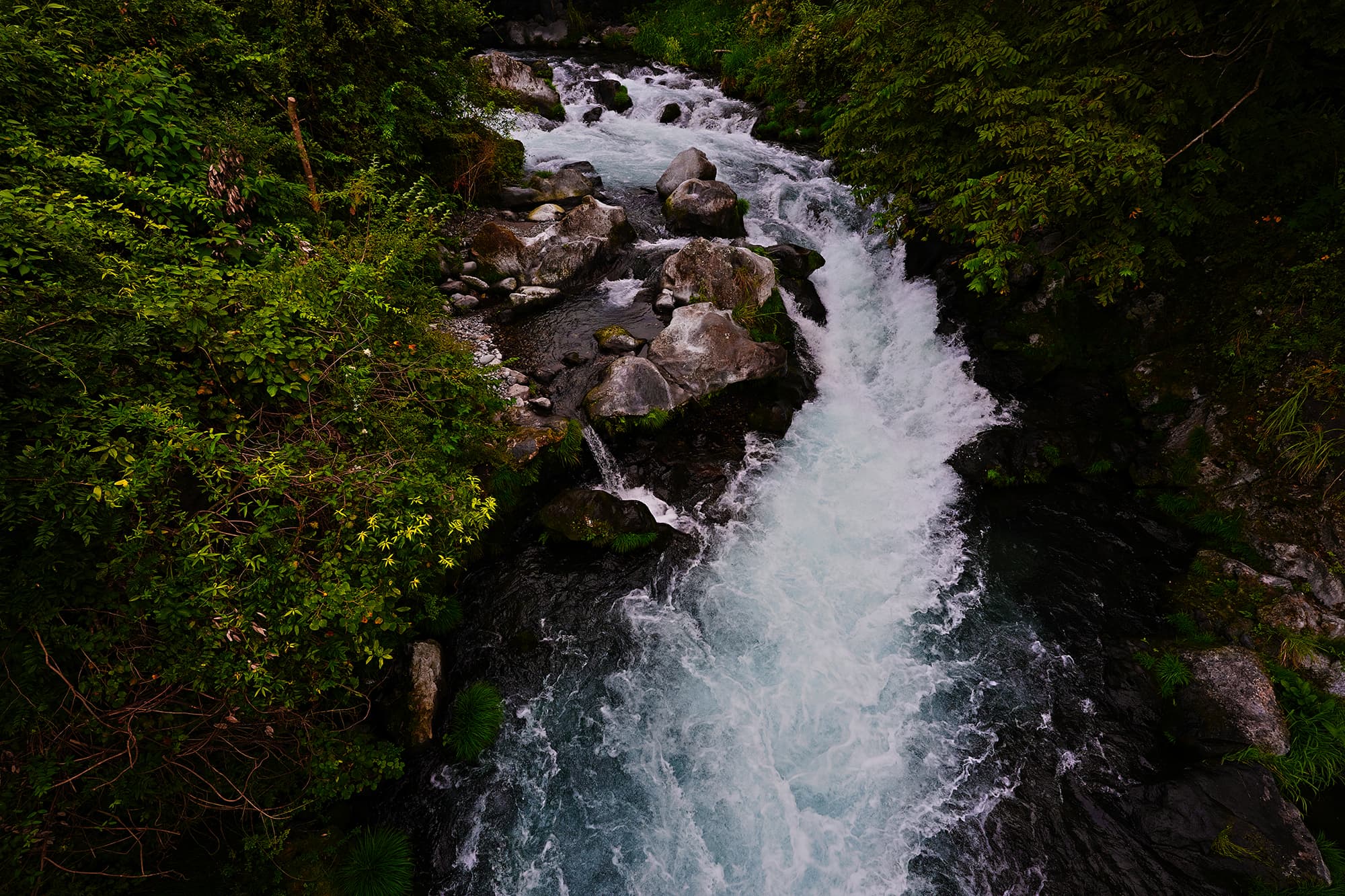 第257回 富士山麓の「白糸の滝」周辺を散策 / Exploring around Shiraito Falls at the foot of Mt.  Fuji. | コンテンツ | SIGMA | 株式会社シグマ