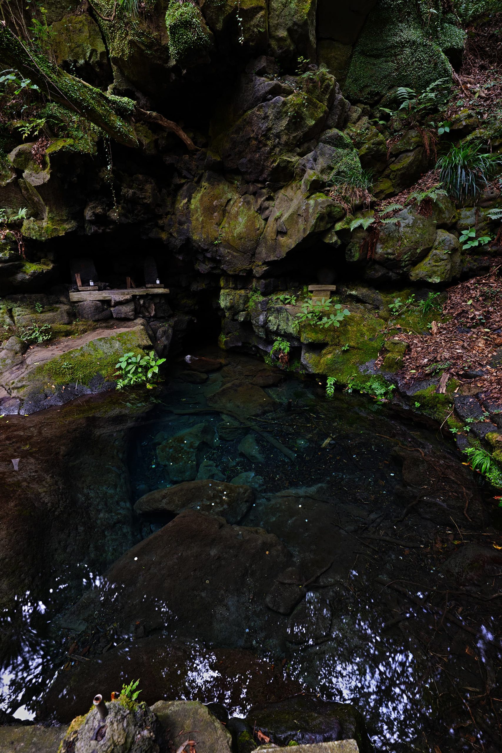 第257回 富士山麓の「白糸の滝」周辺を散策 / Exploring around Shiraito Falls at the foot of Mt.  Fuji. | コンテンツ | SIGMA | 株式会社シグマ