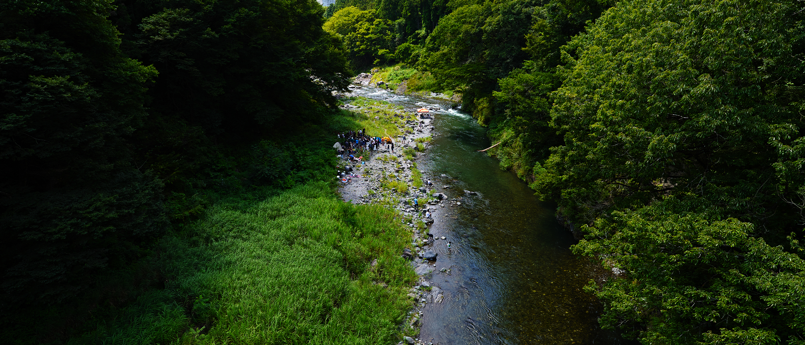 第326回 奥多摩の古里から鳩ノ巣へ歩く/ Walk from Kori to Hatonosu 