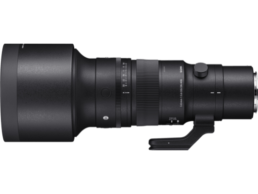 500mm F5.6 DG DN OS