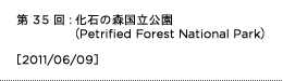 第35回：化石の森国立公園（Petrified Forest National Park）