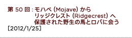 第50回：モハべ（Mojave）からリッジクレスト（Ridgecrest）へ　保護された野生の馬とロバに会う