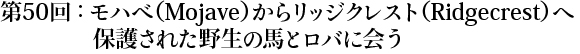 第50回：モハべ（Mojave）からリッジクレスト（Ridgecrest）へ　保護された野生の馬とロバに会う