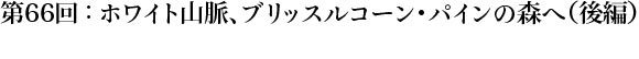 第66回：ホワイト山脈、ブリッスルコーン・パインの森へ（後編）