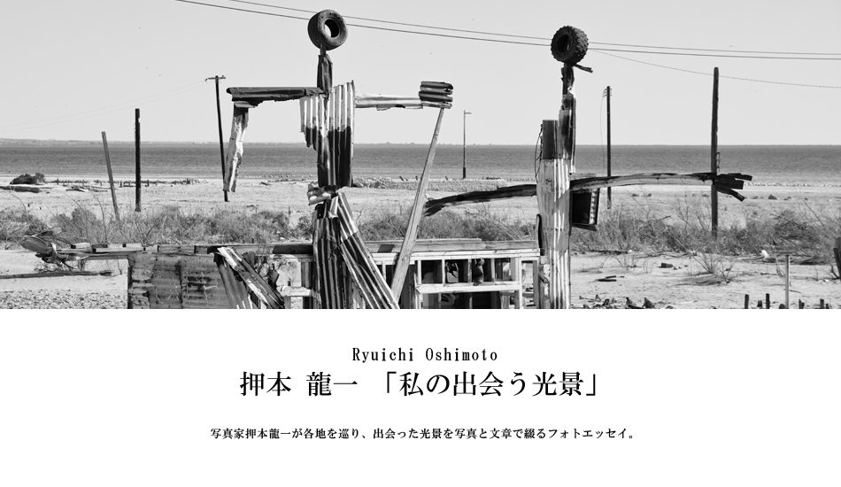 第195回：鳥が少なかった冬のソルトン・シー