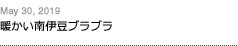 第153回：暖かい南伊豆ブラブラ