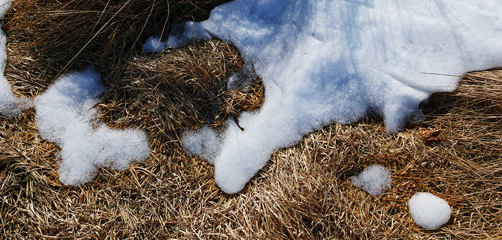 第121回：雪が積もった多摩川ブラブラ